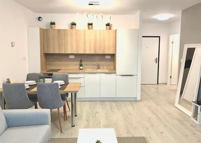 Elegant, Bright Spacious In Center Apartment